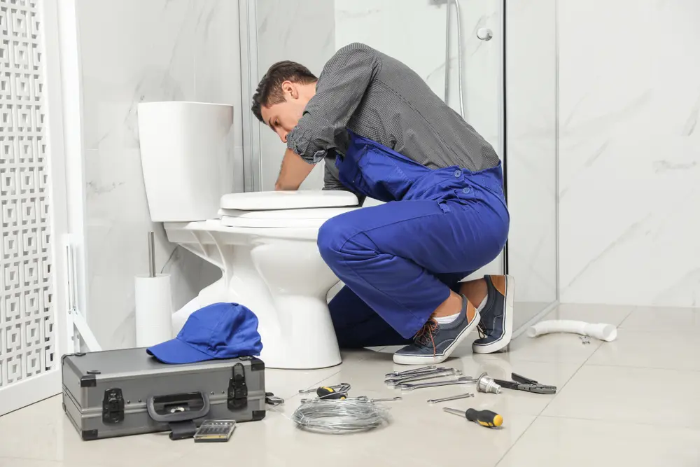 Toilet Repair in Sleepy Hollow